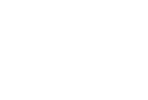 Sakura Design Studio logo